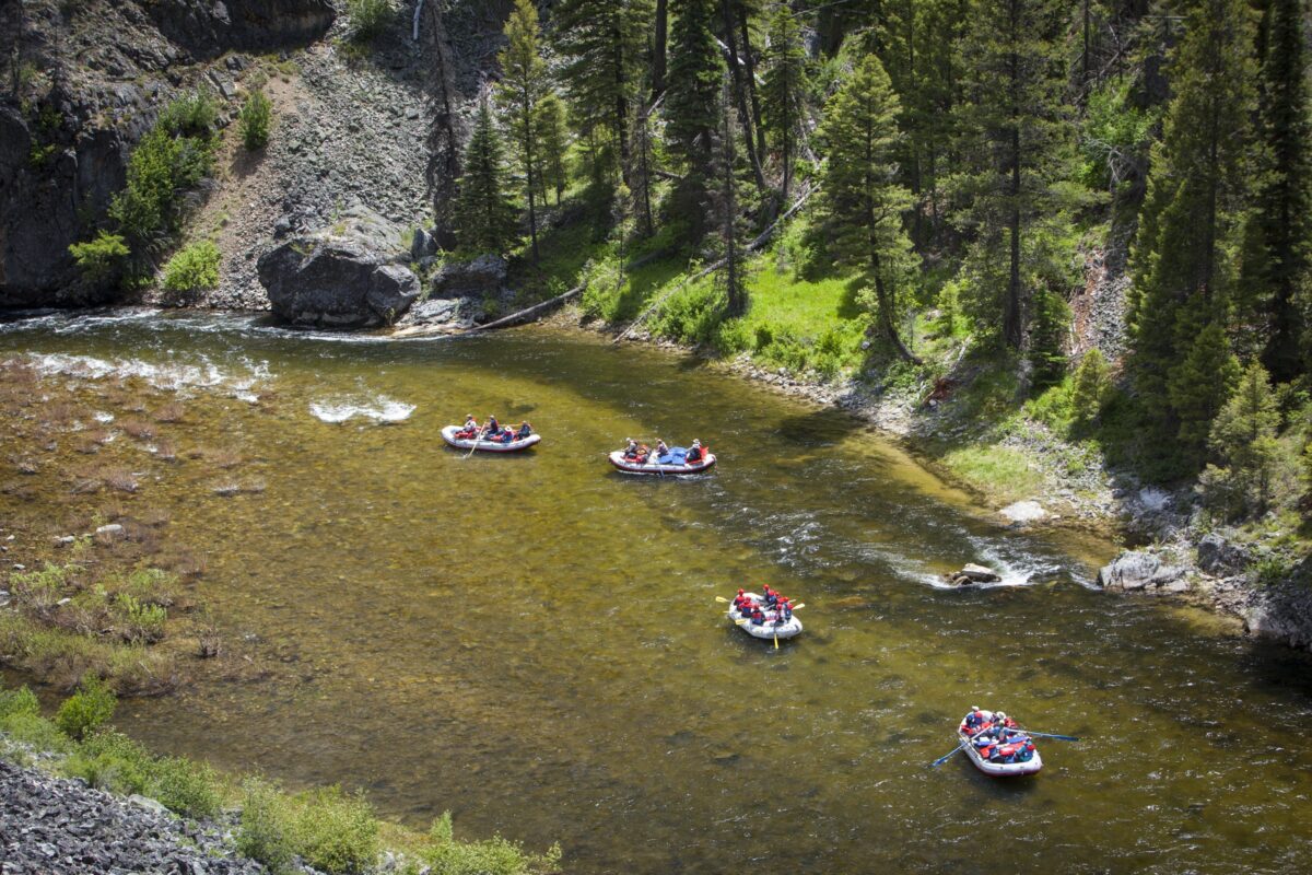 Blog  Rocky Mountain River Tours